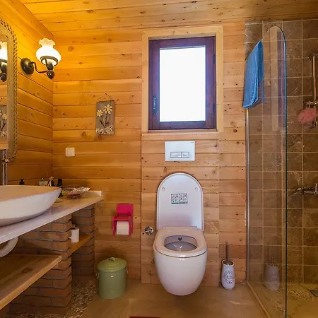 Villa Ambar Badem וילה *
